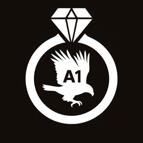 A1 Hawk
