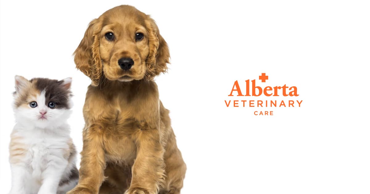Alberta Veterinary Care