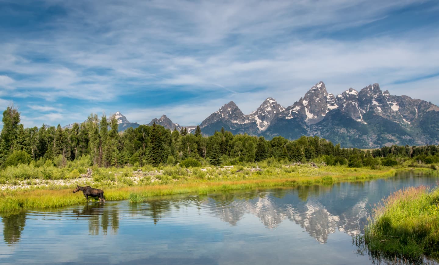 The Conservation Fund