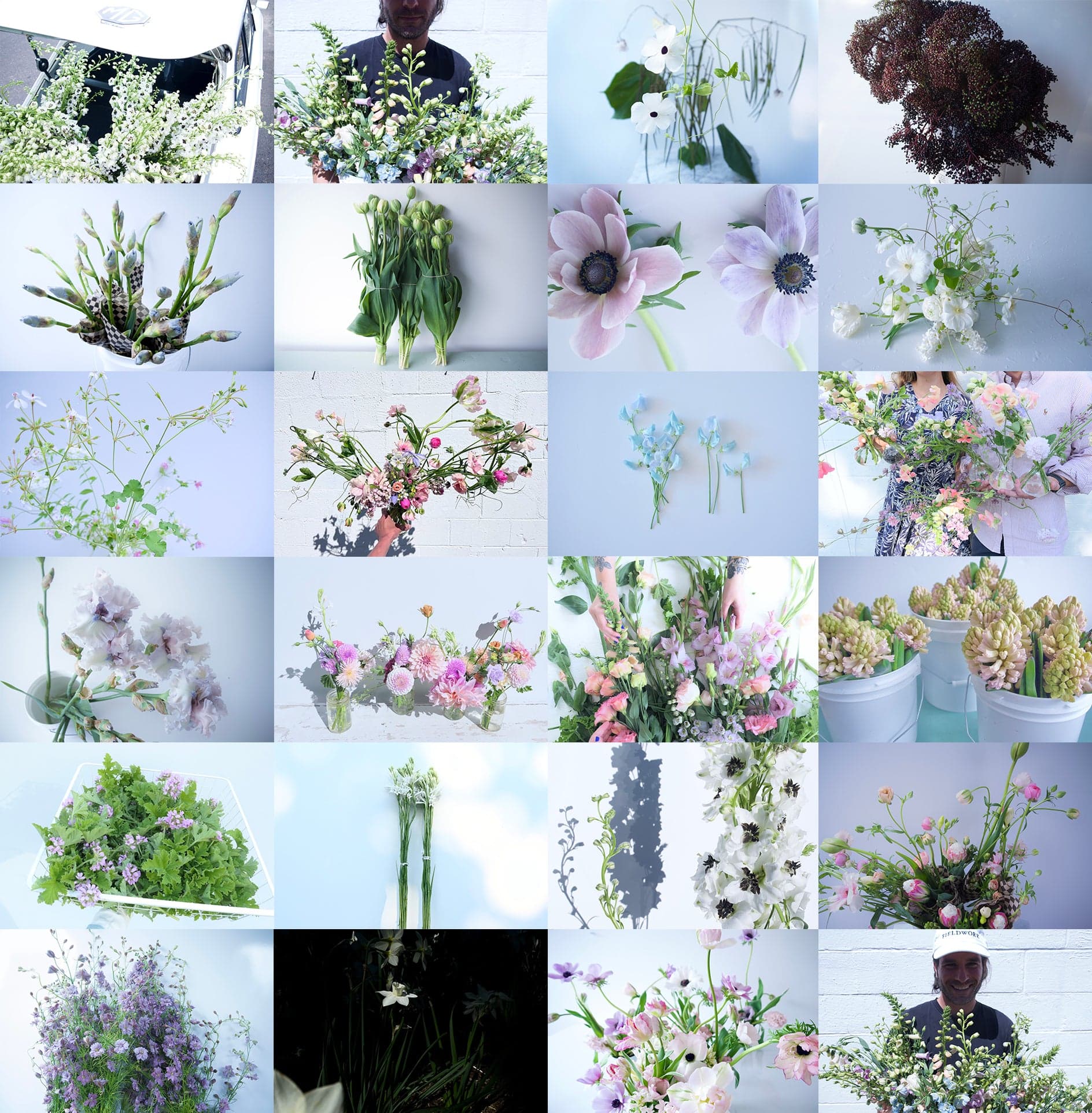 Fieldwork Flower Shop
