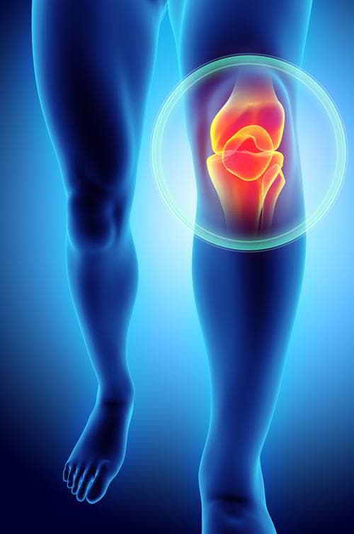 Good Health Physical Therapy & Wellness