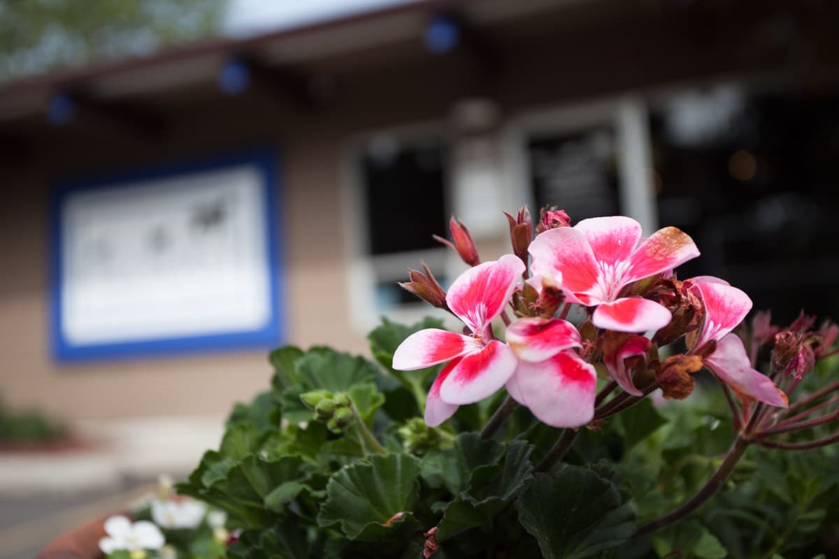 Hillsdale Veterinary Hospital
