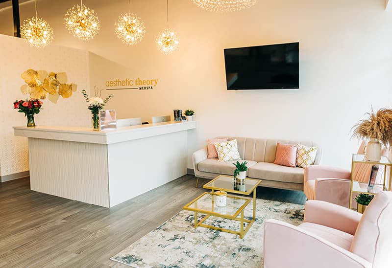Aesthetic Theory MEDSPA
