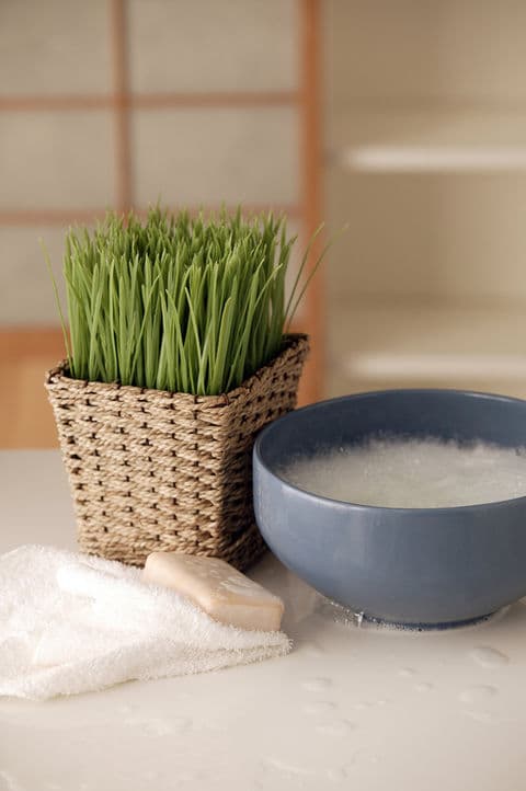 The House of Wellness Med Spa