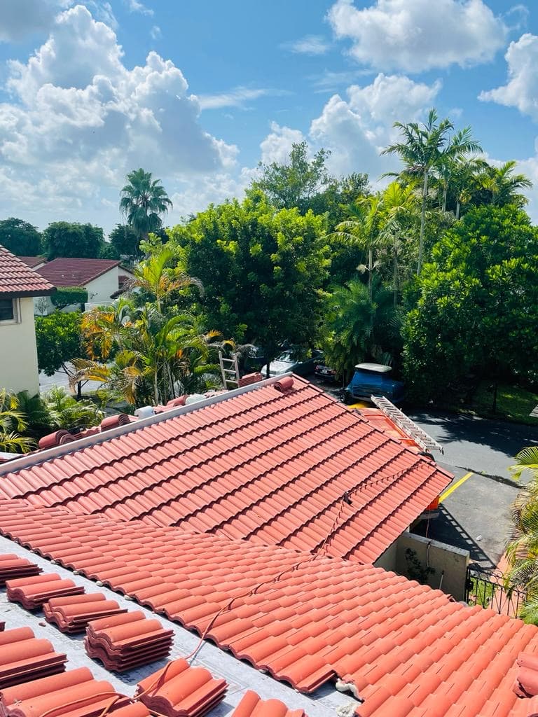 Palma Roofing