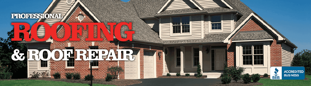 Roofing Repair Guy