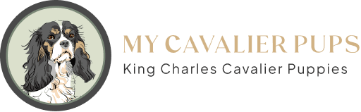 My Cavalier Pups logo