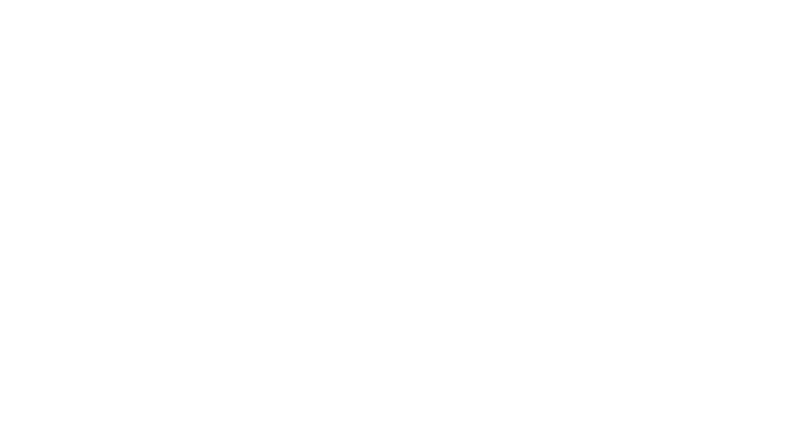 Al-Amir logo