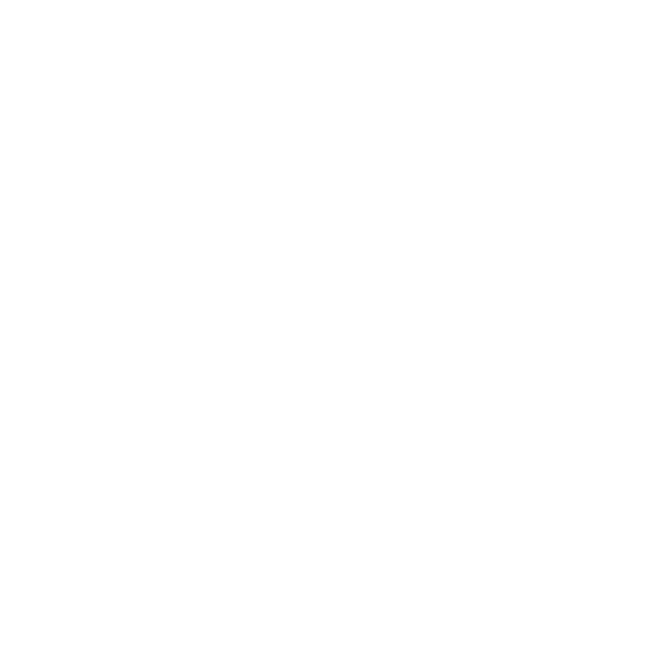 Bridgetown Chiropractic logo