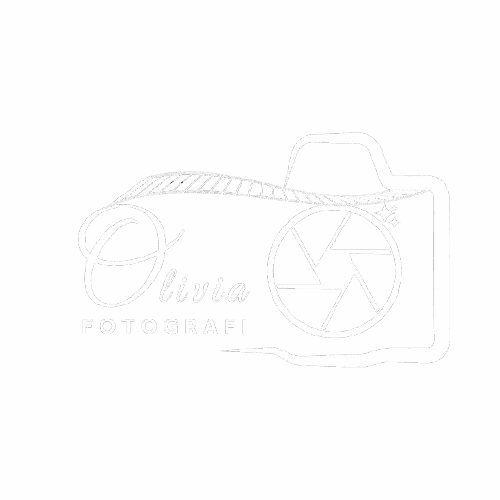 David Schlicker – Artworks, Photography & Creative Portfolio logo