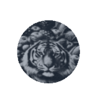Daily Deals Market logo