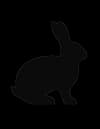 Jade Rabbit logo
