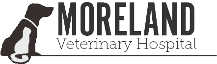 Moreland Veterinary Hospital logo