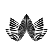 Lily Med Spa logo