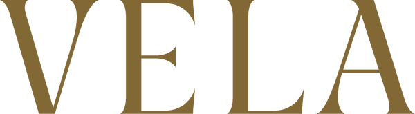 VELA logo