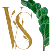 Vibe Spa logo