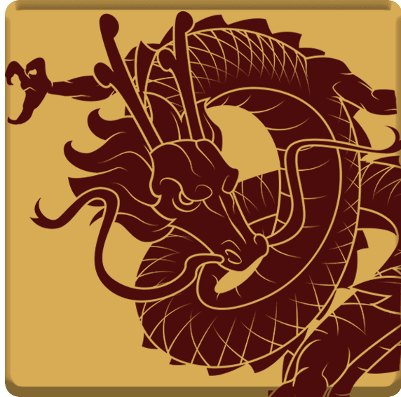 DRAGON222 logo