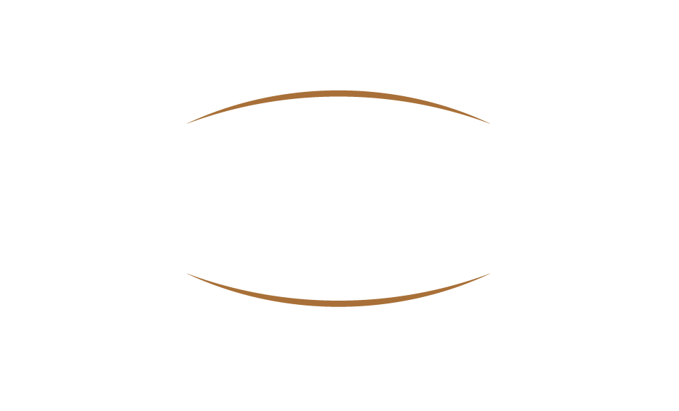 SKYE MEP logo